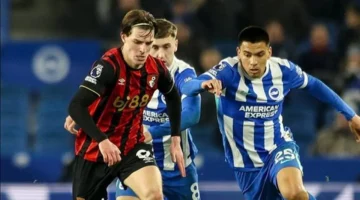 تعادل مثير.. إيفرتون يخطف نقطة ثمينة من ملعب برايتون بالدوري الإنجليزي